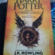 14625473 10210116151641120 87020407 n